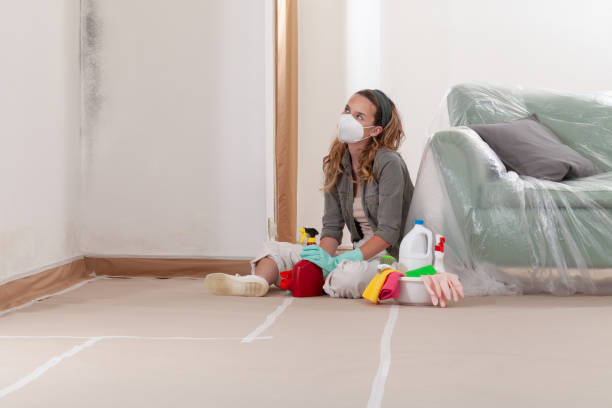Reliable Mold Remediation contractor in Vandalia, MI by WQB Mold Removal